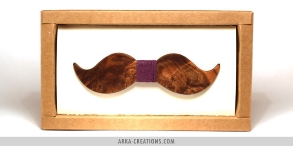 Nœud Papillon Moustache Homme